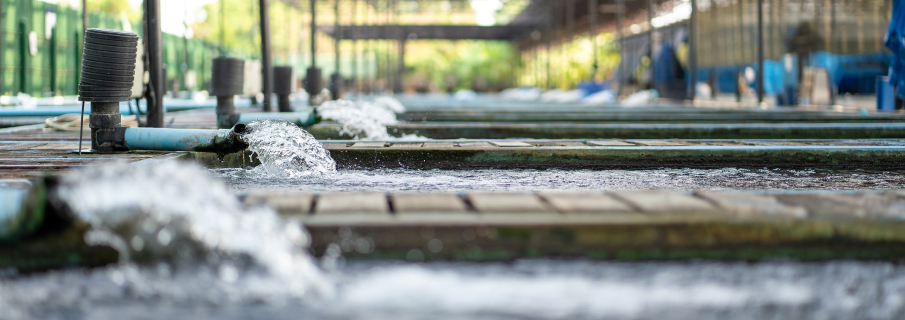 Доставка промышленного теплового насоса для бассейнов