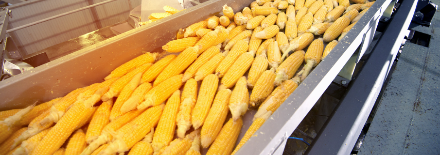 Доставка линии по переработке кукурузы из Китая в Россию