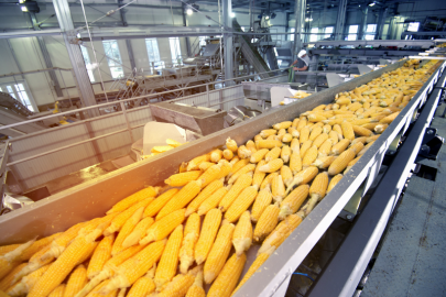 Доставка линии по переработке кукурузы из Китая в Россию