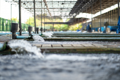 Доставка промышленного теплового насоса для бассейнов